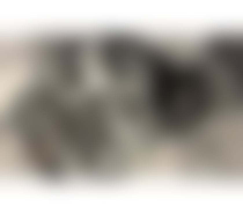 Trans Escorts Norfolk Norwich - Photos for TRANSEX ZOE🔝DOMINATRIX 💦REAL FOTO 🔞PARTY 🥳