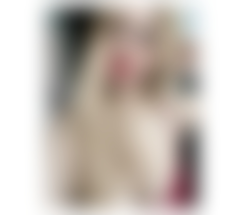 Escorts Worcestershire Wyre Forest - Photos for Thai Katty New in town