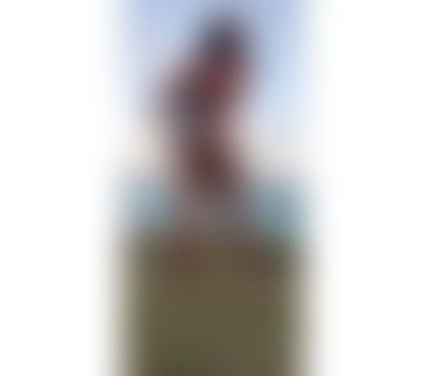 Photos for Caribbean beauty % of proceeds to help 🇯🇲 🌪