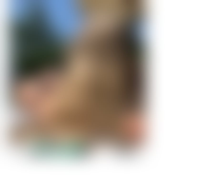 Escorts Staffordshire Stoke-on-Trent - Photos for BELLA PARTY GIRL 24H ♥️. REAL PICS 🔥