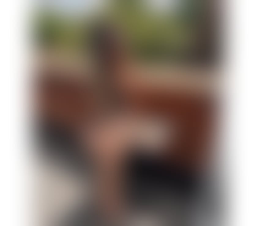 Escorts Suffolk West Suffolk - Photos for Bárbara from Brazil 🇧🇷 - hot party girl🌶️