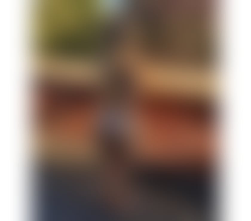 Escorts Suffolk West Suffolk - Photos for Bárbara from Brazil 🇧🇷 - hot party girl🌶️