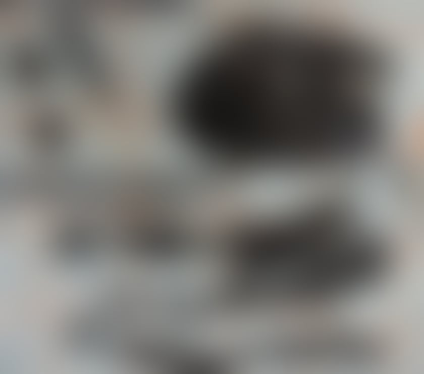 Trans Escorts Bedfordshire Luton - Photos for New top ts Alessia