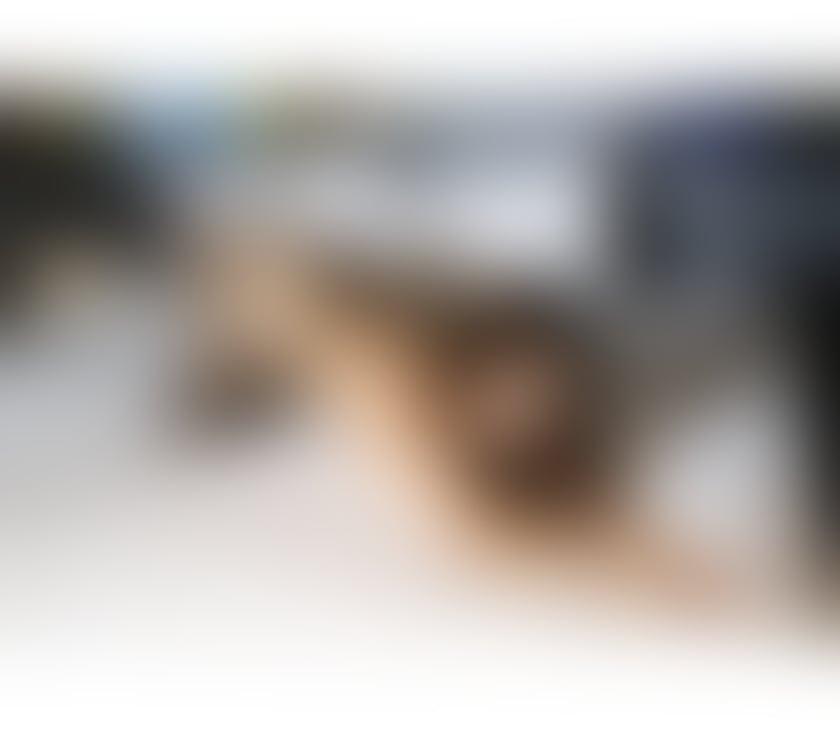 Escorts Falkirk Falkirk Town Centre - Falkirk - Photos for 👅NEW IN TOWN 100%Real-FULL GFE-OWO-FRENCH 07353831069