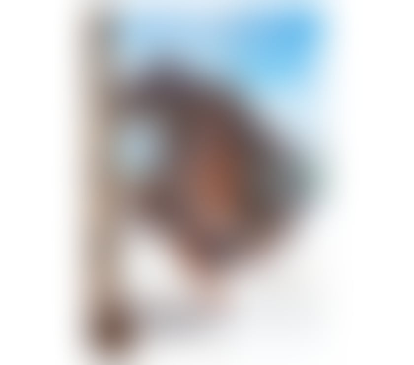 Trans Escorts Leicestershire Leicester - Photos for 🔥 NEW 😈 LEXA 🔥 BRAZILIAN TS GIRL 😈