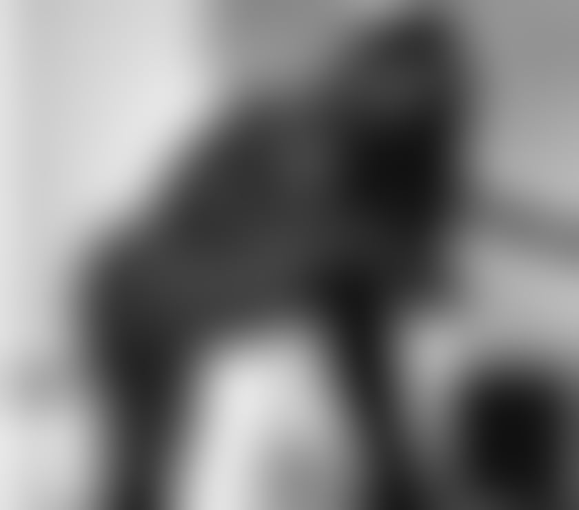 Escorts West London West Kensington Station - West London - Photos for ❤️‍🔥✨ RUBY RED HOT CHARM ✨❤️‍🔥