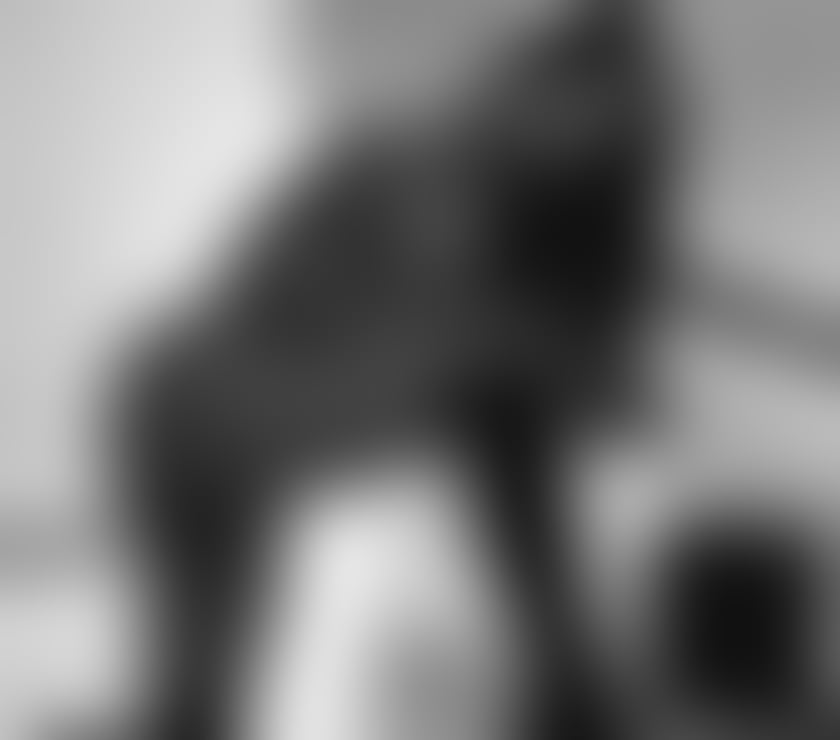 Escorts South West London Earls Court - South West London - Photos for ❤️‍🔥✨ RUBY RED HOT CHARM ✨❤️‍🔥