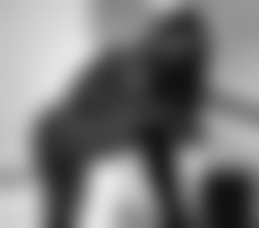 ❤️‍🔥✨ RUBY RED HOT CHARM ✨❤️‍🔥