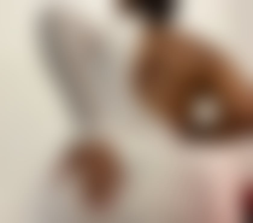 Escorts Exeter City Centre Exeter - Photos for Sexy AFRODITE‼️🔝🥳party girl
