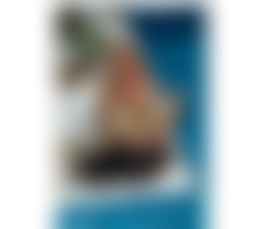 Trans Escorts Cumberland Carlisle Airport - Cumberland - Photos for Brazilian BBC XXL 🇧🇷💦🇧🇷