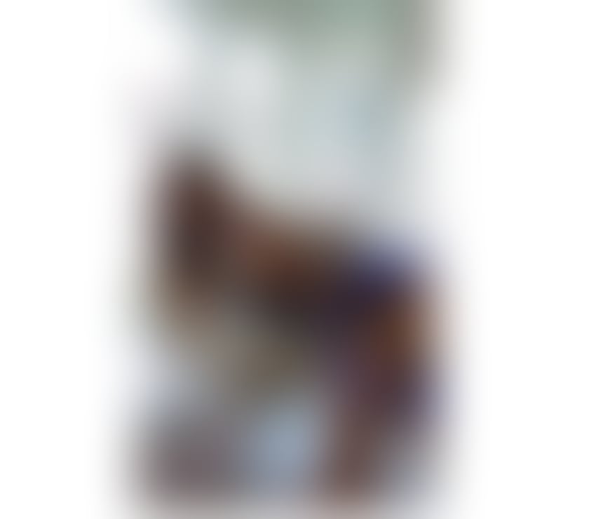 AMELYA BEST SERVICES 100%REAL