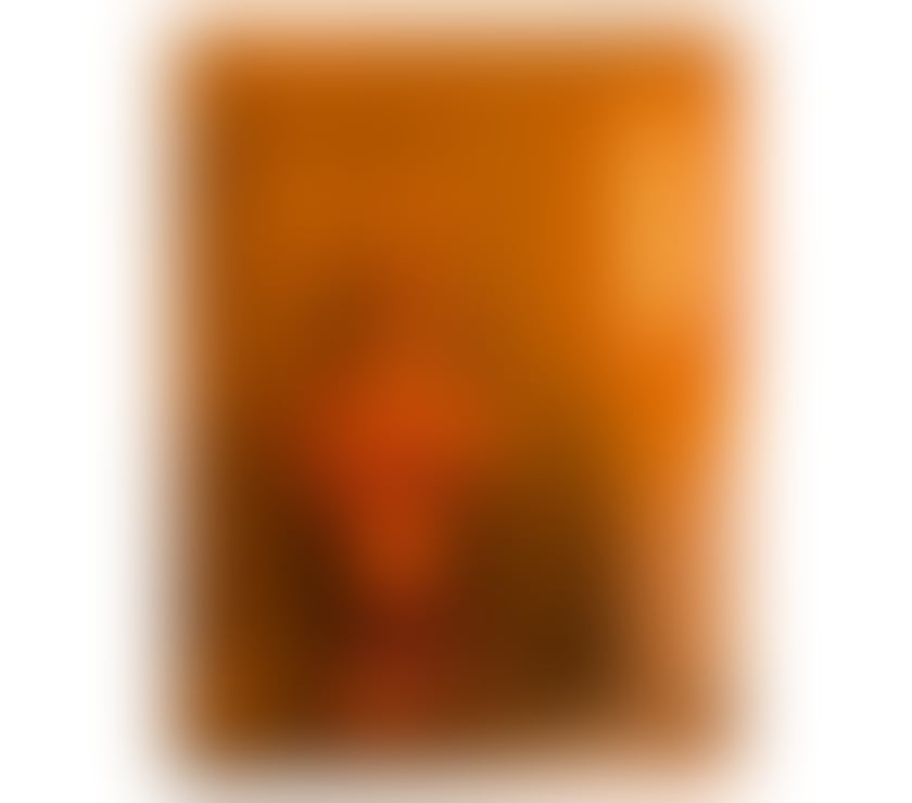 🌸Brazilian Beauty | Elegant | Warm Personality 🌸