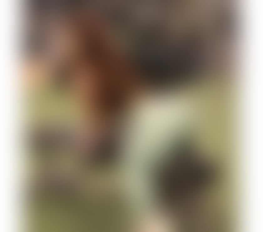 Escorts Hull City Centre Hull - Photos for Back in town ❤️ best GFE ❤️ little woman