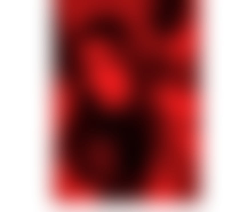 Trans Escorts Hertfordshire Watford - Photos for New New V.I.P Alessia🥵