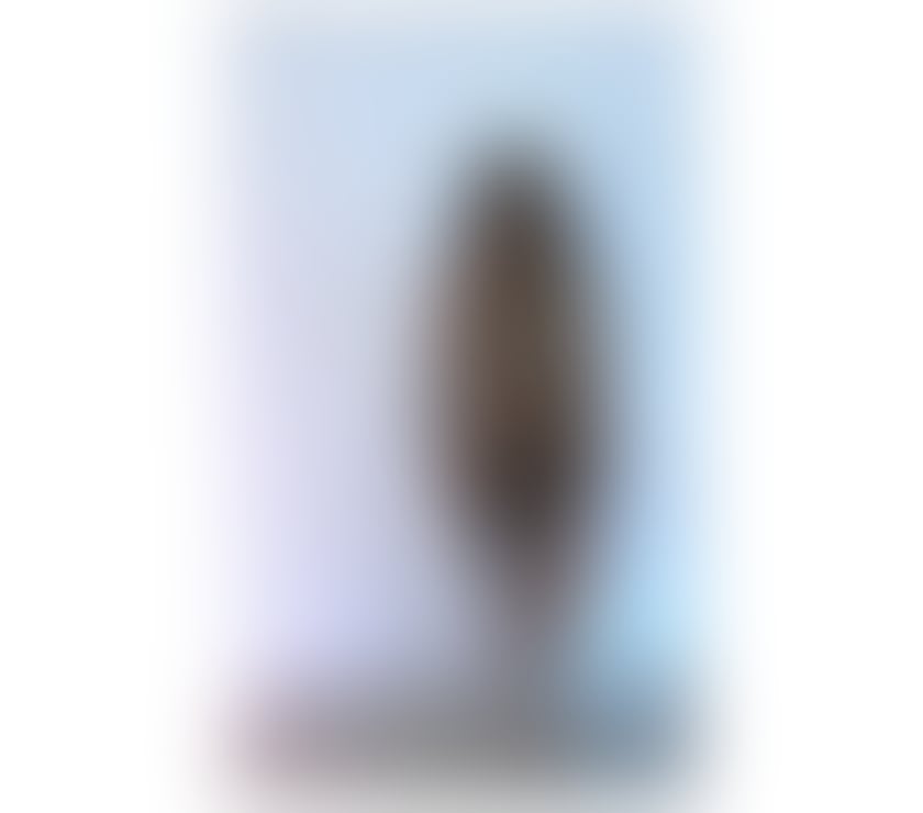 Escorts and Massages Burnley Town Centre Burnley - Photos for New Top Setvice Incall Outcall