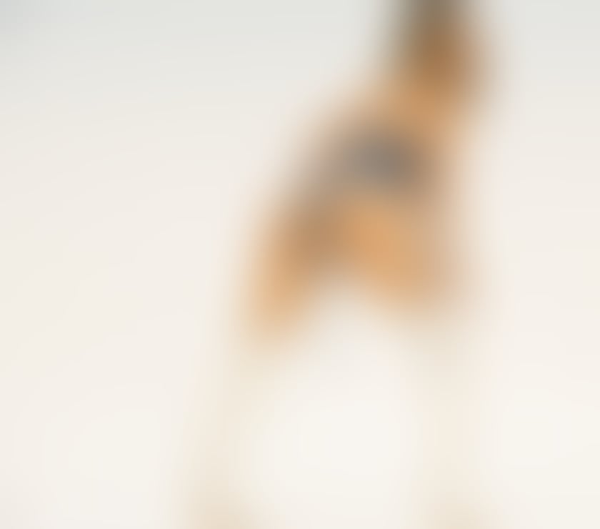 Escorts North West London Harrow - Photos for Melissa NEW LADY IN HARROW WEMBLEY KENTON KINGSBURY