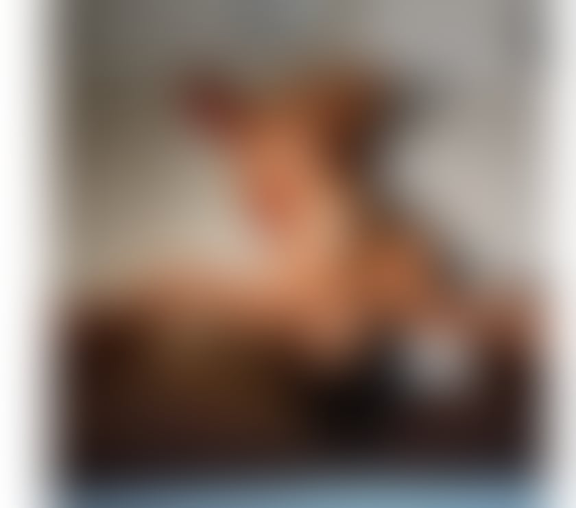 HOT Bella Brazilian best service🇧🇷 party girl