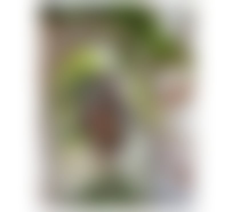 Escorts South East London Croydon - Photos for Taila 💎 hot girl and big ass😈 247