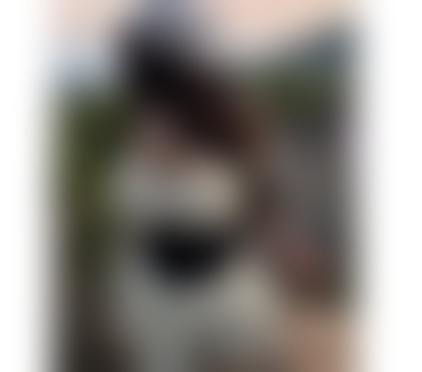 Escorts County Durham Hartlepool - Photos for BIG​ TITS​ 💦​THAI​ GIRL​ GOOD​ BODY​🥵