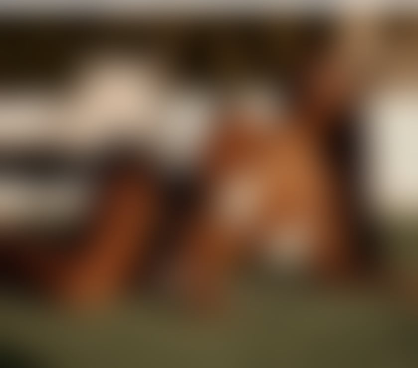 Escorts West Midlands Solihull - Photos for HOT EBONY SOFT SKIN ,BIG CLAPPERS CALL ASAP