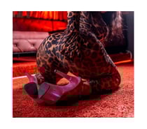 Sophia Naughty 😈Owo,💯real,big boobs 🍒big ass