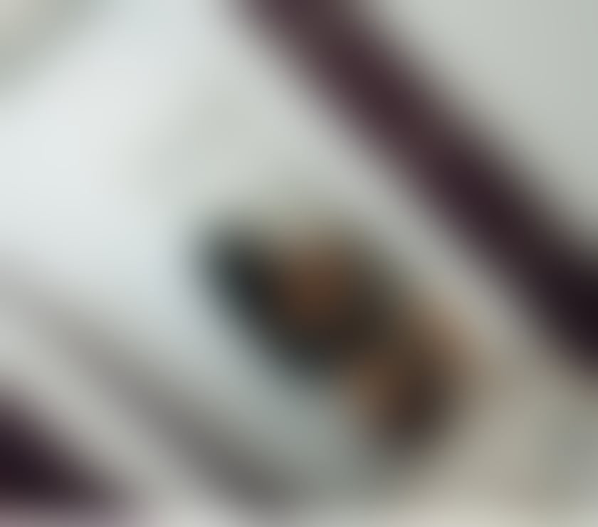 Escorts West Yorkshire Kirklees - Photos for Hi I’m Bella ! Party gril🥰