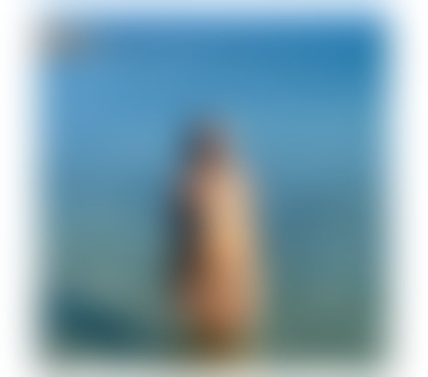 Bella 🇧🇷sweet company high class 👠