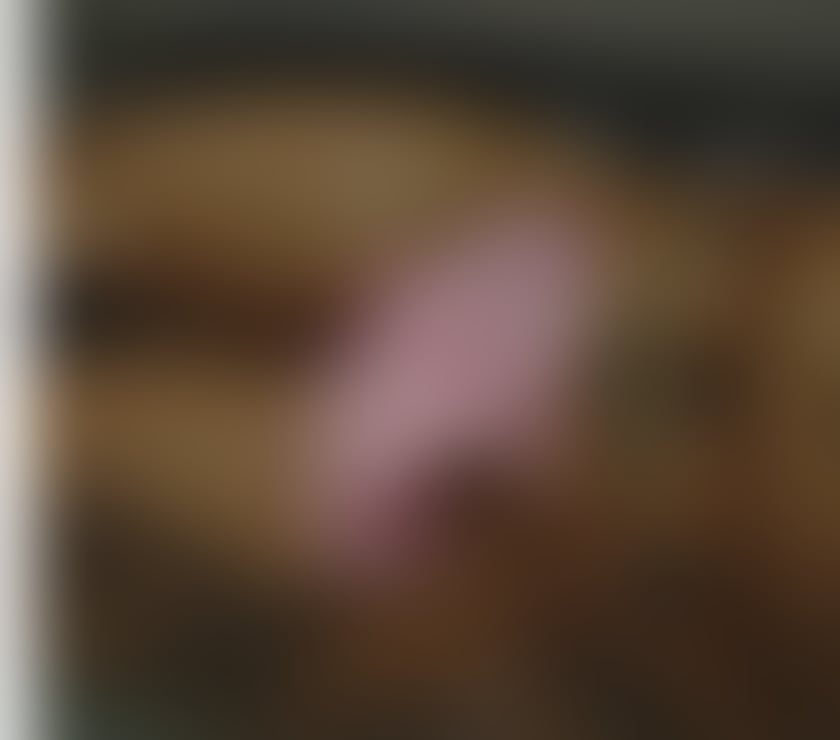 Escorts Buckinghamshire Milton Keynes - Photos for Eva 🌹 Black African 🖤