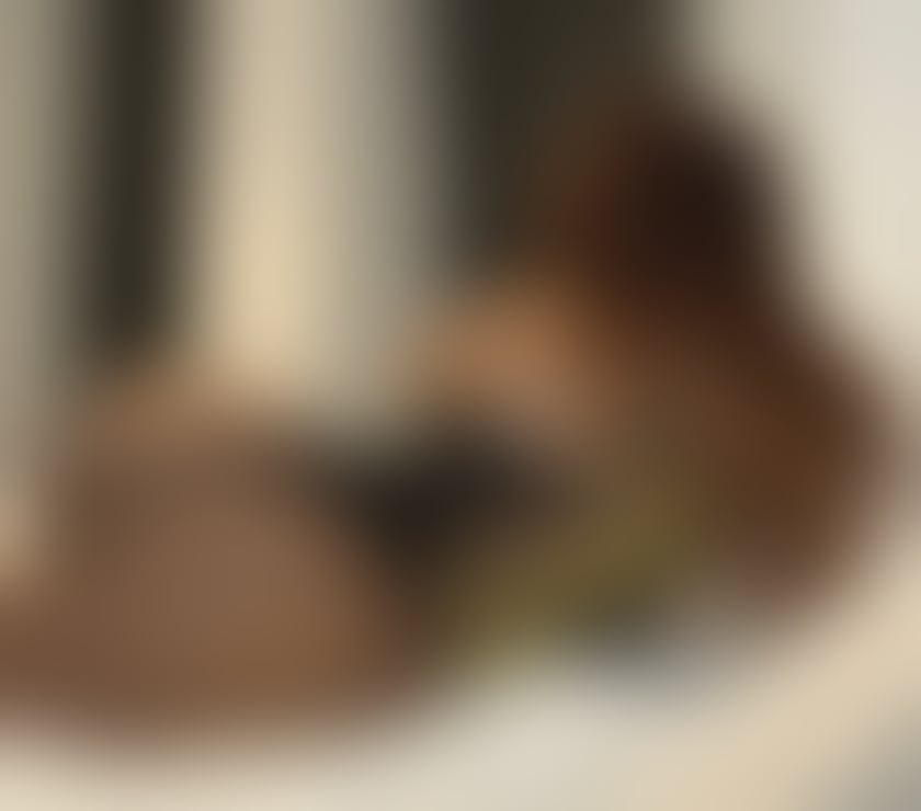 Trans Escorts Hertfordshire Watford - Photos for 🇧🇷 Izzy Boniatti XXL 🍆 Your Definitive TS Fantasy