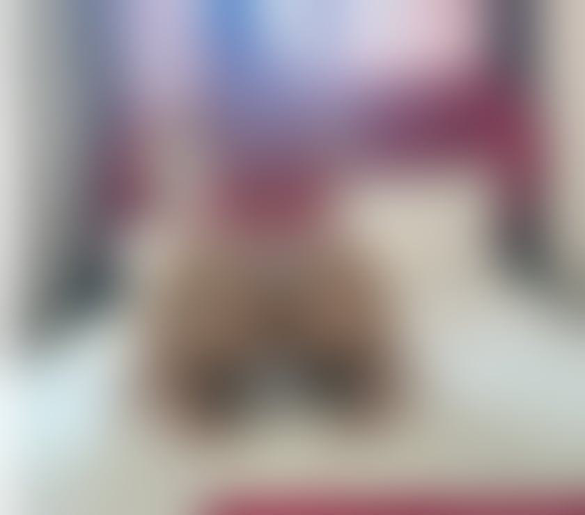 Escorts West Yorkshire Wakefield - Photos for Rebecca just arrived 💗 Incall Outcalls GFE