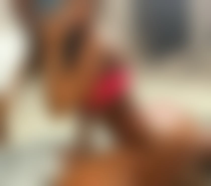  Escorts Herne Hill South East London - Photos for Gabi hot hot call me🔥