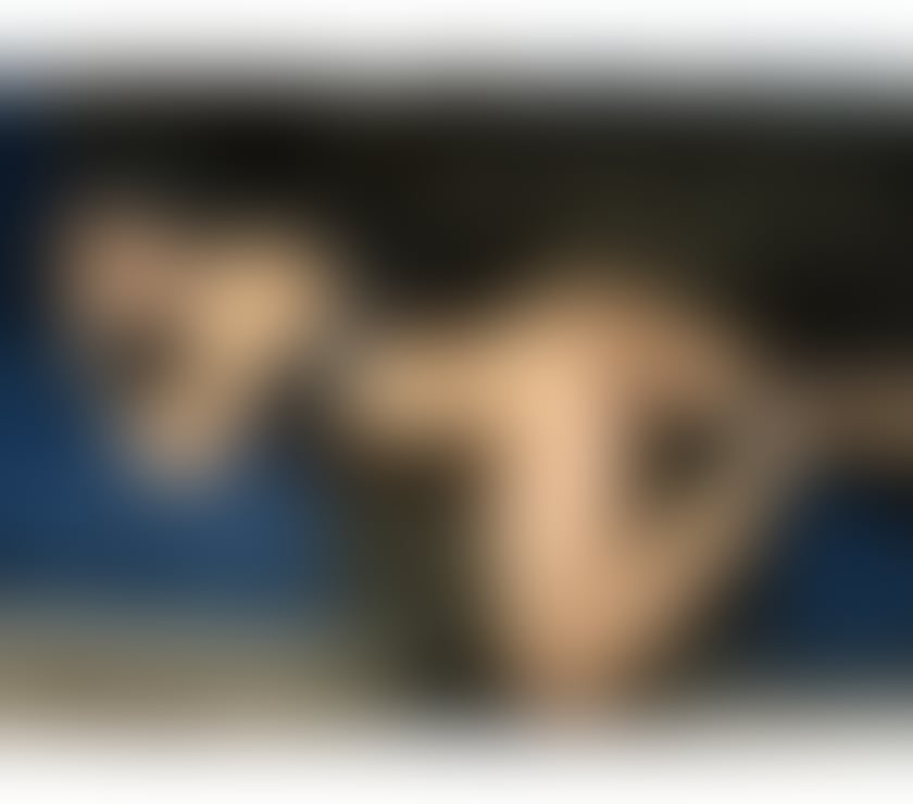 Escorts North Yorkshire Middlesbrough - Photos for Cleo ❤️HOT GIRL 🥰 REAL ⭐️ PARTY 🍭OWO 💋