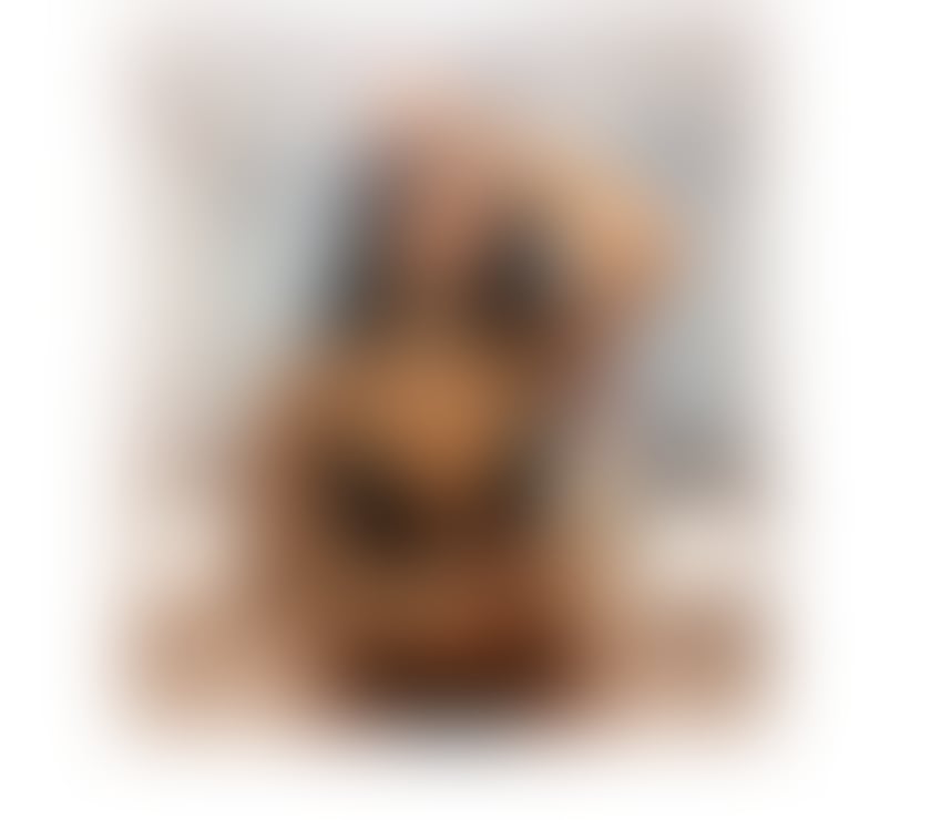 Escorts Bristol Bristol City Centre - Bristol - Photos for Rebeka hot girl best OWO🤩🥰