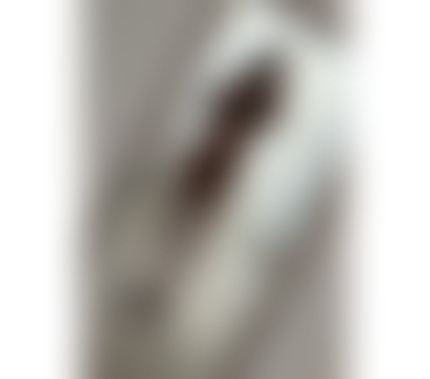 Escorts South Yorkshire Doncaster - Photos for Vanessa ❤️ new in town !!! Party Girl 🫶