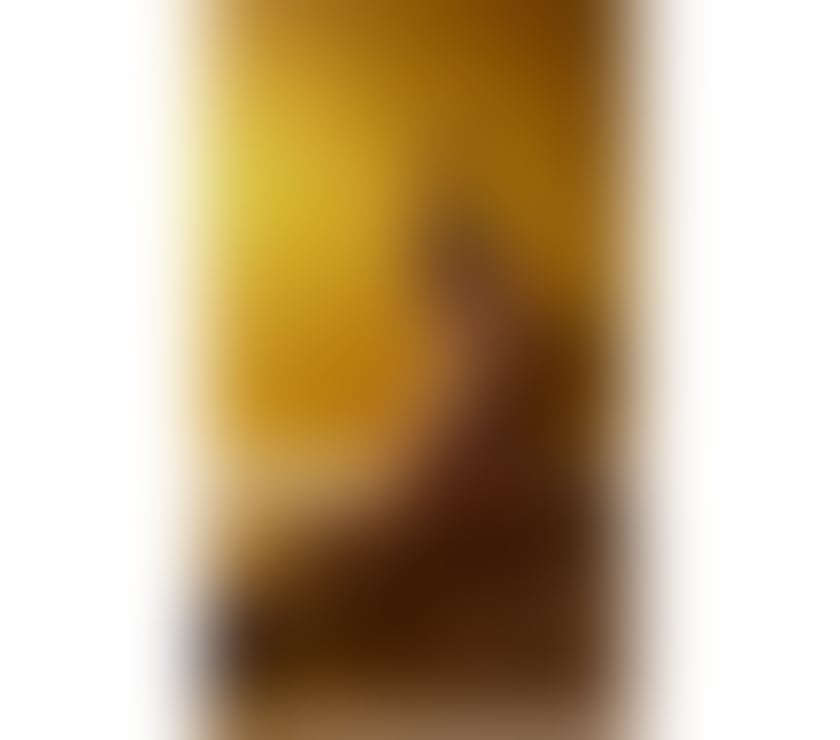 New în your City top service A level