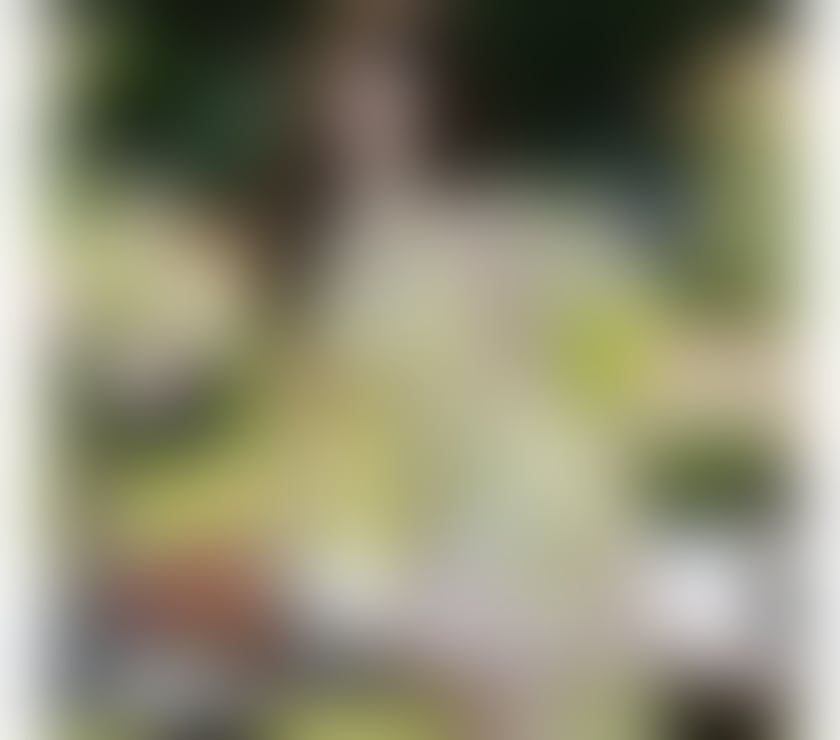 Escorts Tyne and Wear Newcastle upon Tyne - Photos for NEW Asian escort in Newcastle NE4 07958104812