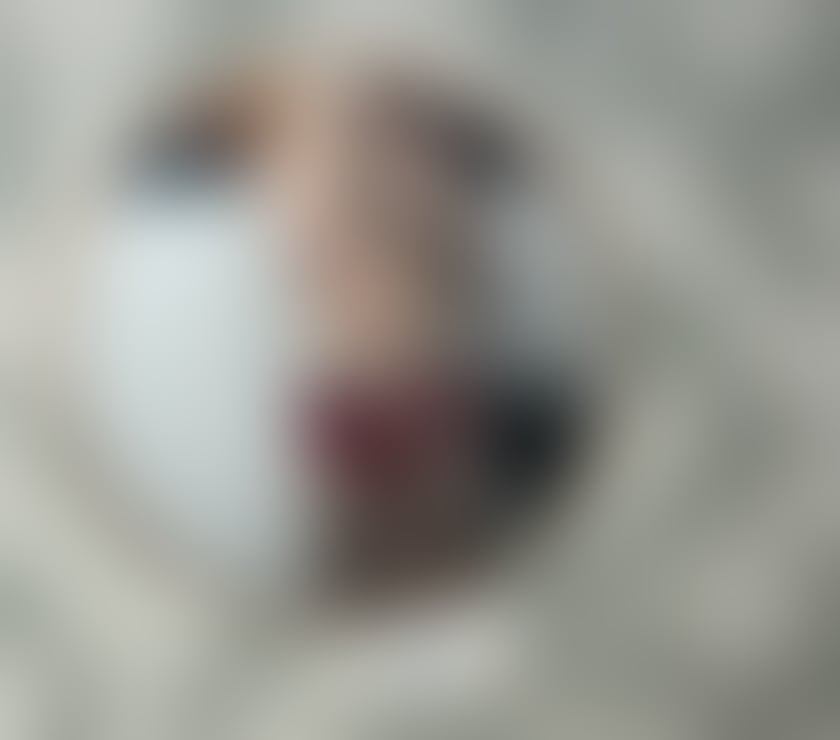  Gay massage North West London Camden - Photos for come and get it - handsome 6"5 tall welsh lad