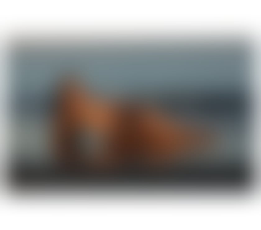 Escorts Glasgow Barrhead - Glasgow - Photos for 💕LUX ESCORT💕PARTY GIRL🔞BEST OWO😘TOP SERVICE