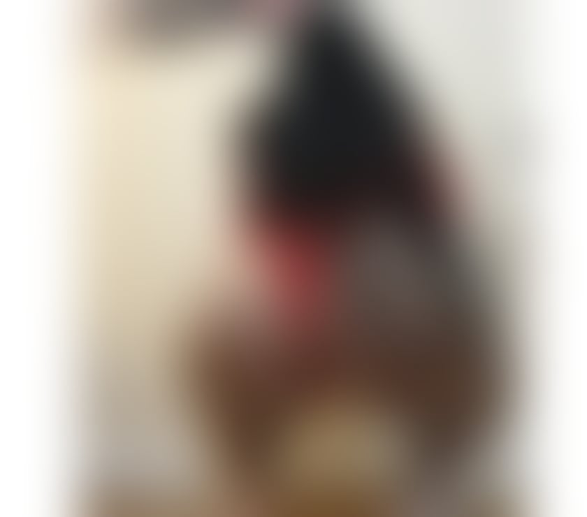 🔞quick 30£ best service gfe party 2 days here!!😈