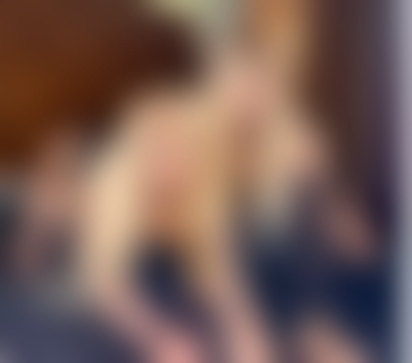 Trans Escorts North London Islington - North London - Photos for 🔝NAOMI SAVAGE QUEEN TOP ⛓️🌠🖤