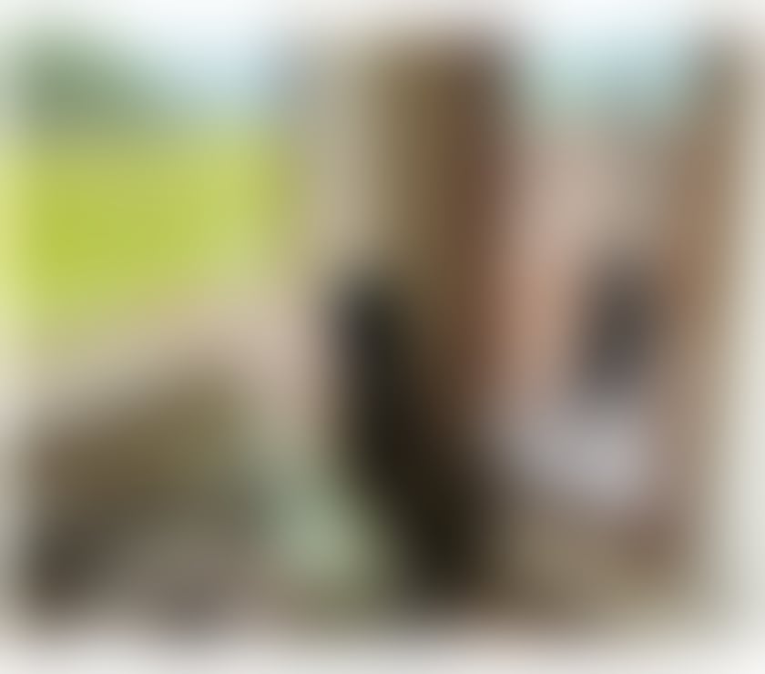 Top🌟oriental asian escort 💕availabl