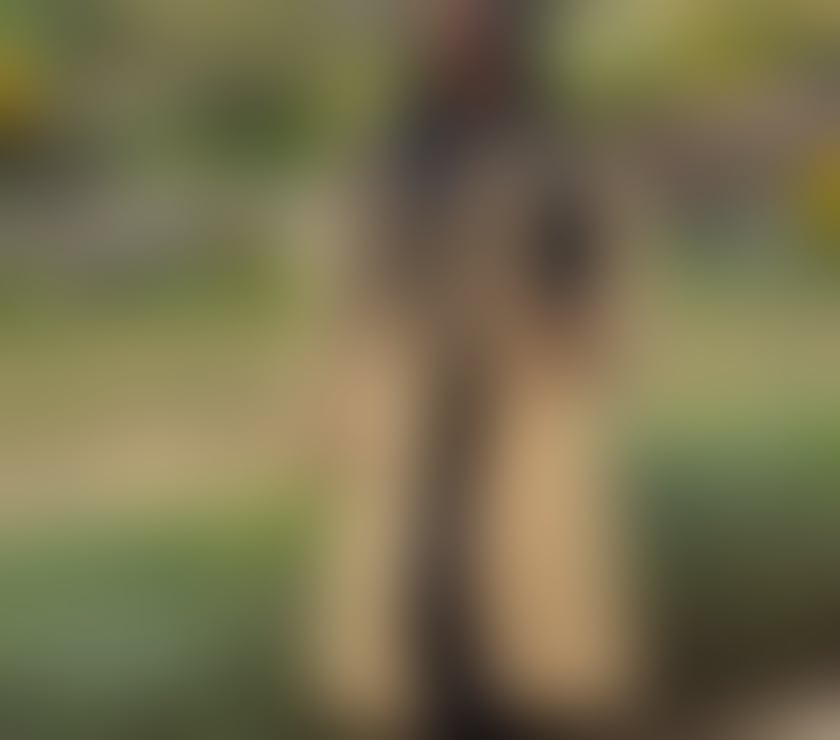 Escorts West Yorkshire Wakefield - Photos for Ana elegant and discreet meeting only outcall, no deposit