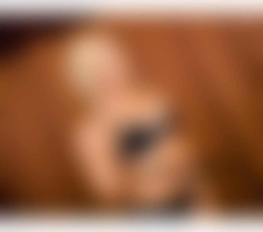 Escorts Kent Canterbury - Photos for PERFECT HOT BLONDE❤️New in town!Curvy body❤️