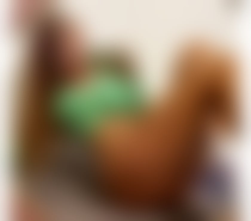 Escorts North Yorkshire Middlesbrough - Photos for NEW IN TOWN🌟REAL PICS⭐️BEST SERVICES⭐️