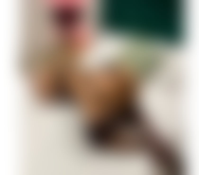 Escorts West Midlands Birmingham - Photos for KELY MILLER 😍THE BEST OWO 😈 HOT GIRL 🔥