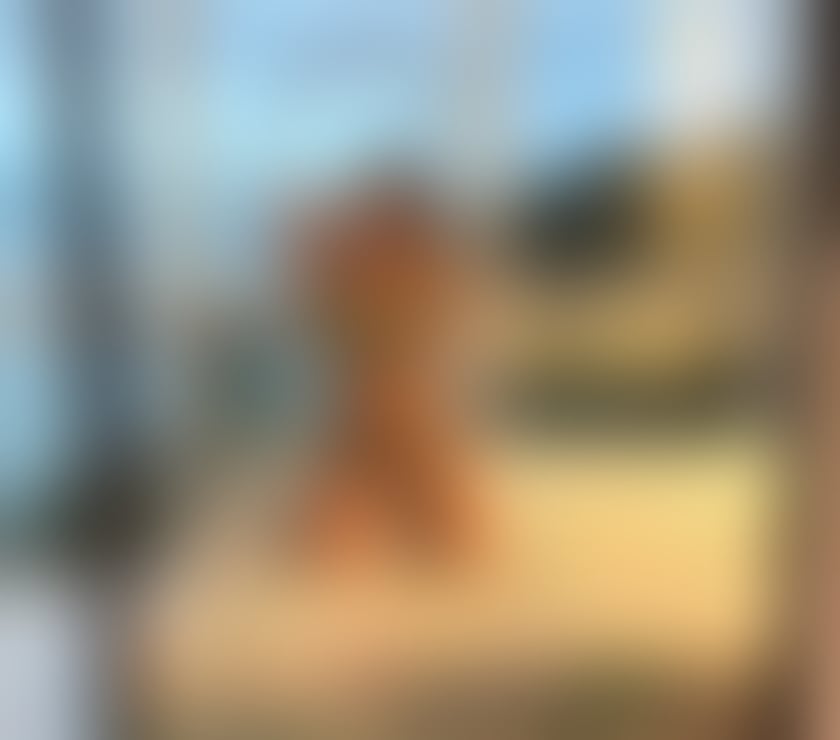 Escorts Buckinghamshire Milton Keynes - Photos for Garota de Festa Selena 🇧🇷🔥