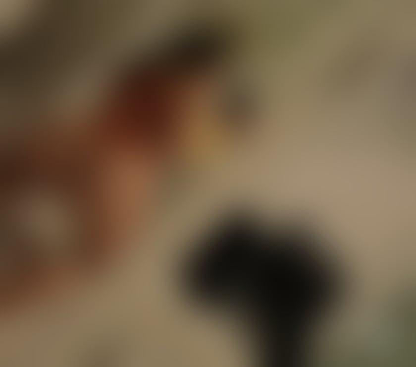  Escorts Bridge of Dee Aberdeen - Photos for Skinny IZABELL ♥️ real no deposit