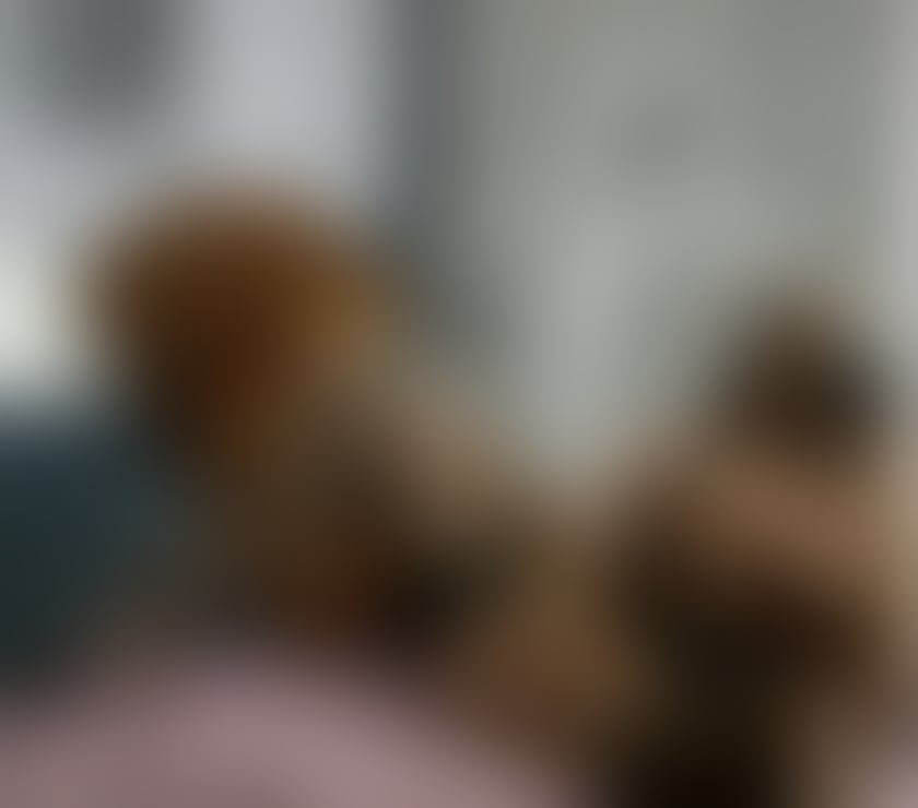 COCO ❤️BEST BJ💯PARTY🥂OUTCALL ONLY