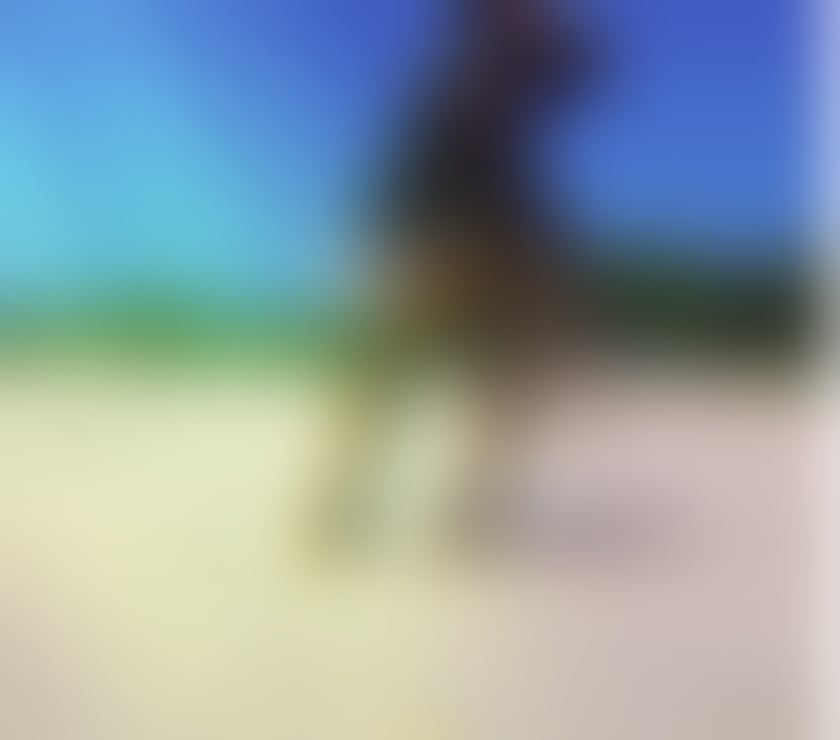 Escorts Hull Hull City Centre - Hull - Photos for DIANNA❤️ BIG ASS 😜 LAST DAY🎉 SWEET AFRICANN