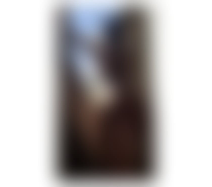 Escorts Peterborough Peterborough City Centre - Peterborough - Photos for SOPHIA BRAZILIAN REAL ALL NATURAL, STUNNING & SEXY 🇧🇷